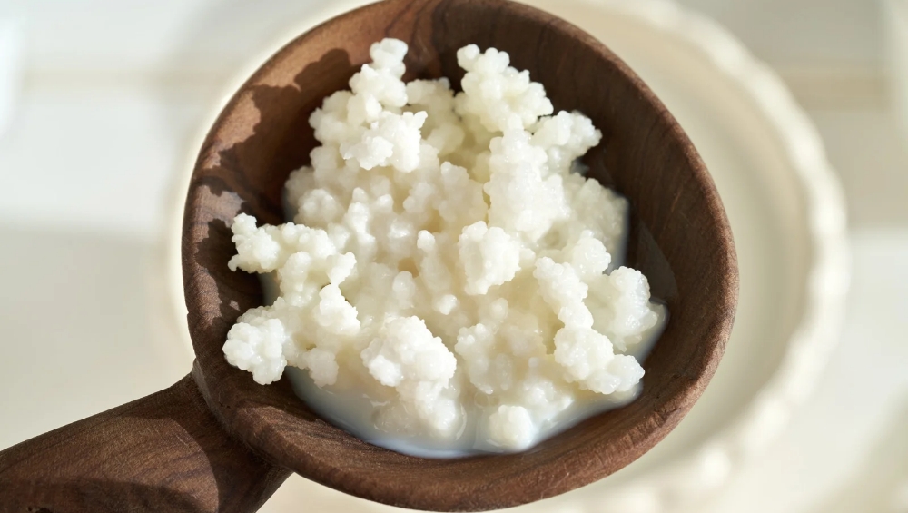 Mengenal Biji Kefir Rahasia Probiotik Tahan Asam Lambung